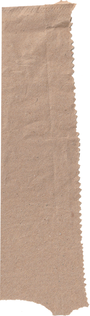 Scanned Cutout Brown Paper